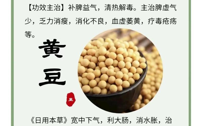 黄豆是下奶还是回奶(豆制品催奶还是回奶效果好呢)