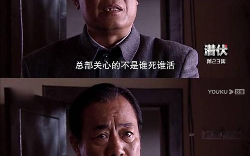 胡司令是好人还是坏人(什么是坏人)