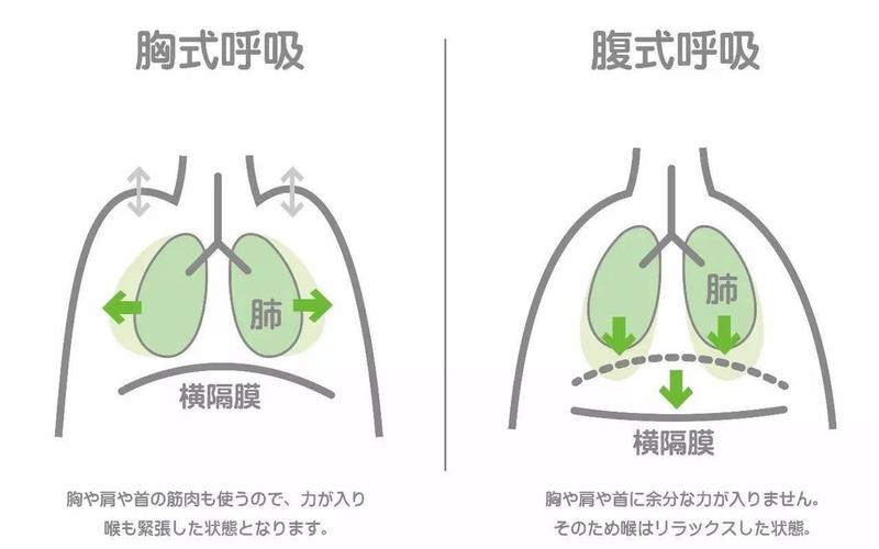 呼吸是p还是r(R是呼吸的意思吗)