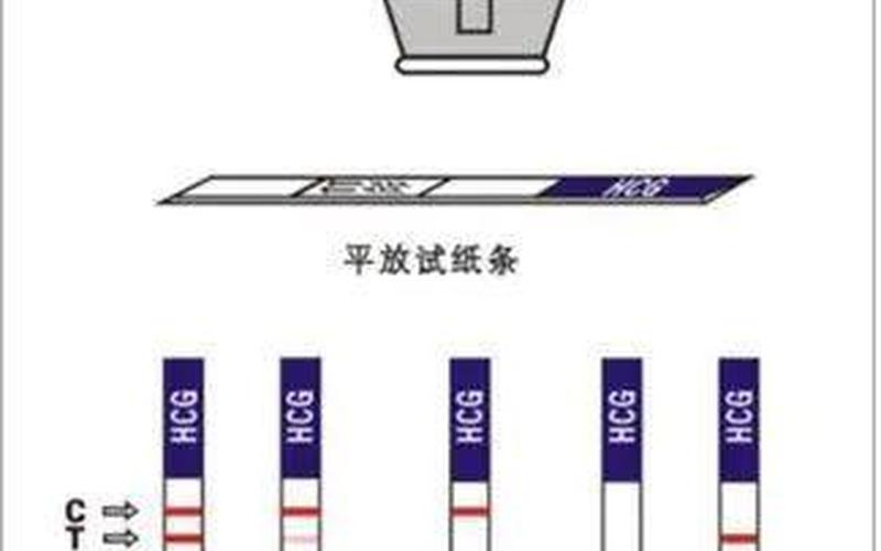 怀孕是验尿还是验血(孕检验血验尿需要空腹吗)