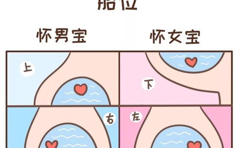 怀孕流口水是男还是女(孕期口水多是男孩还是女孩)