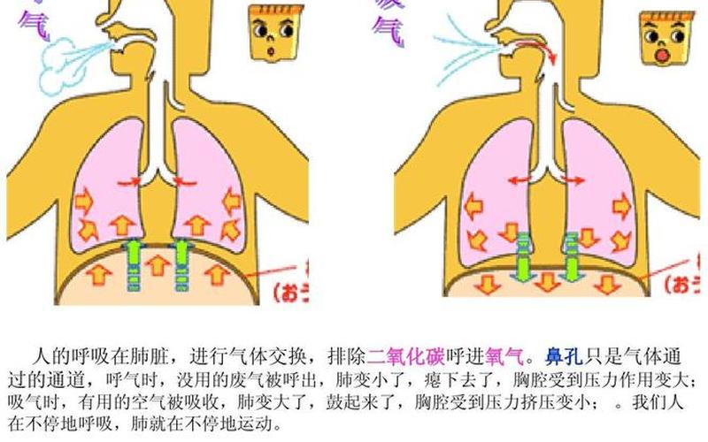 呼吸是深沉还是沉重(呼吸用匀称还是均匀来形容)