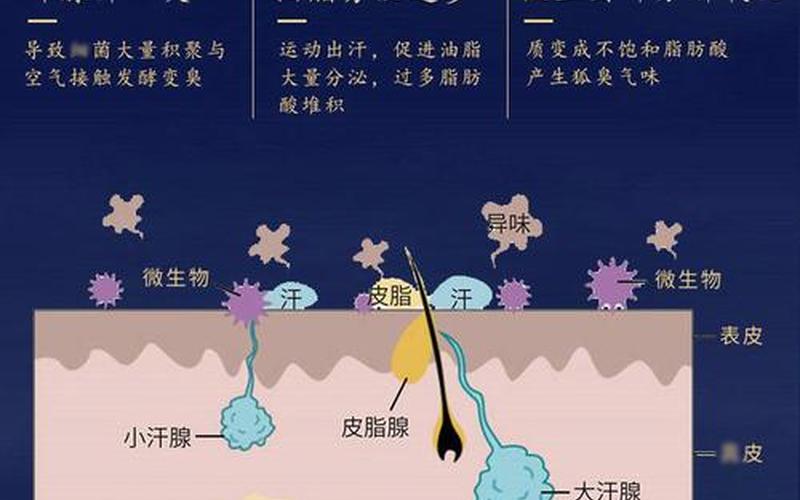 狐臭是显性遗传还是隐性遗传(母亲有狐臭怎么避免遗传给下一代)