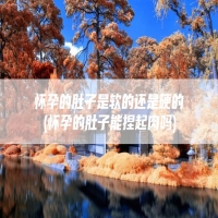 怀孕的肚子是软的还是硬的(怀孕的肚子能捏起肉吗)