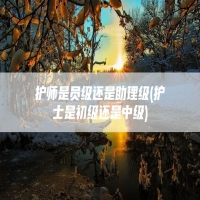 护师是员级还是助理级(护士是初级还是中级)