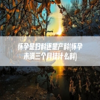 怀孕是妇科还是产科(怀孕未满三个月挂什么科)