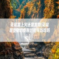 花椒是上火还是发物(花椒是发物吗皮肤过敏可以吃吗)