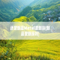 还是魅蓝Metal是魅族(魅蓝是魅族吗)