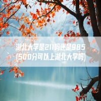 湖北大学是211吗还是985(500分可以上湖北大学吗)