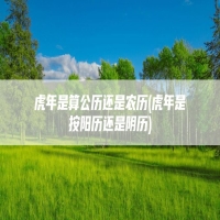 虎年是算公历还是农历(虎年是按阳历还是阴历)