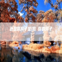 还是你样子是(我 你的样子)