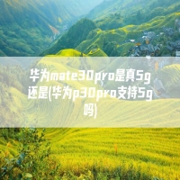 华为mate30pro是真5g还是(华为p30pro支持5g吗)