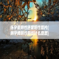 怀孕是阴性还是阳性图片(测孕棒阴性阳性什么意思)