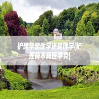 护理学是医学还是理学(护理算不算医学类)