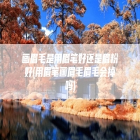 画眉毛是用眉笔好还是眉粉好(用眉笔画眉毛眉毛会掉吗)