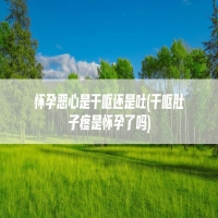 怀孕恶心是干呕还是吐(干呕肚子疼是怀孕了吗)