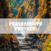 护师是技能还是职称(中级护师是什么职称)