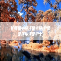 护师是中级还是初级(护师是医生还是护士)