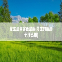 花生是果实还是根(花生的根属于什么根)