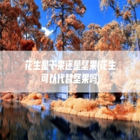 花生是干果还是坚果(花生可以代替坚果吗)