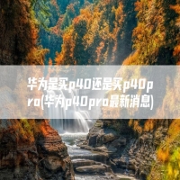 华为是买p40还是买p40pro(华为p40pro最新消息)