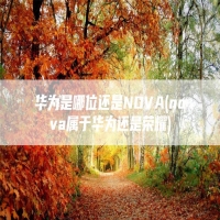 华为是哪位还是NOVA(nova属于华为还是荣耀)