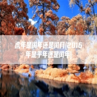 虎年是闰年还是闰月(2016年是平年还是闰年)